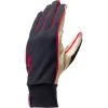 Swix Voldo Race Glove Men's